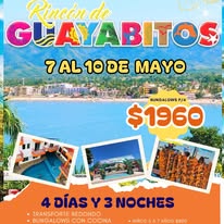 Viaje a Tenacatita